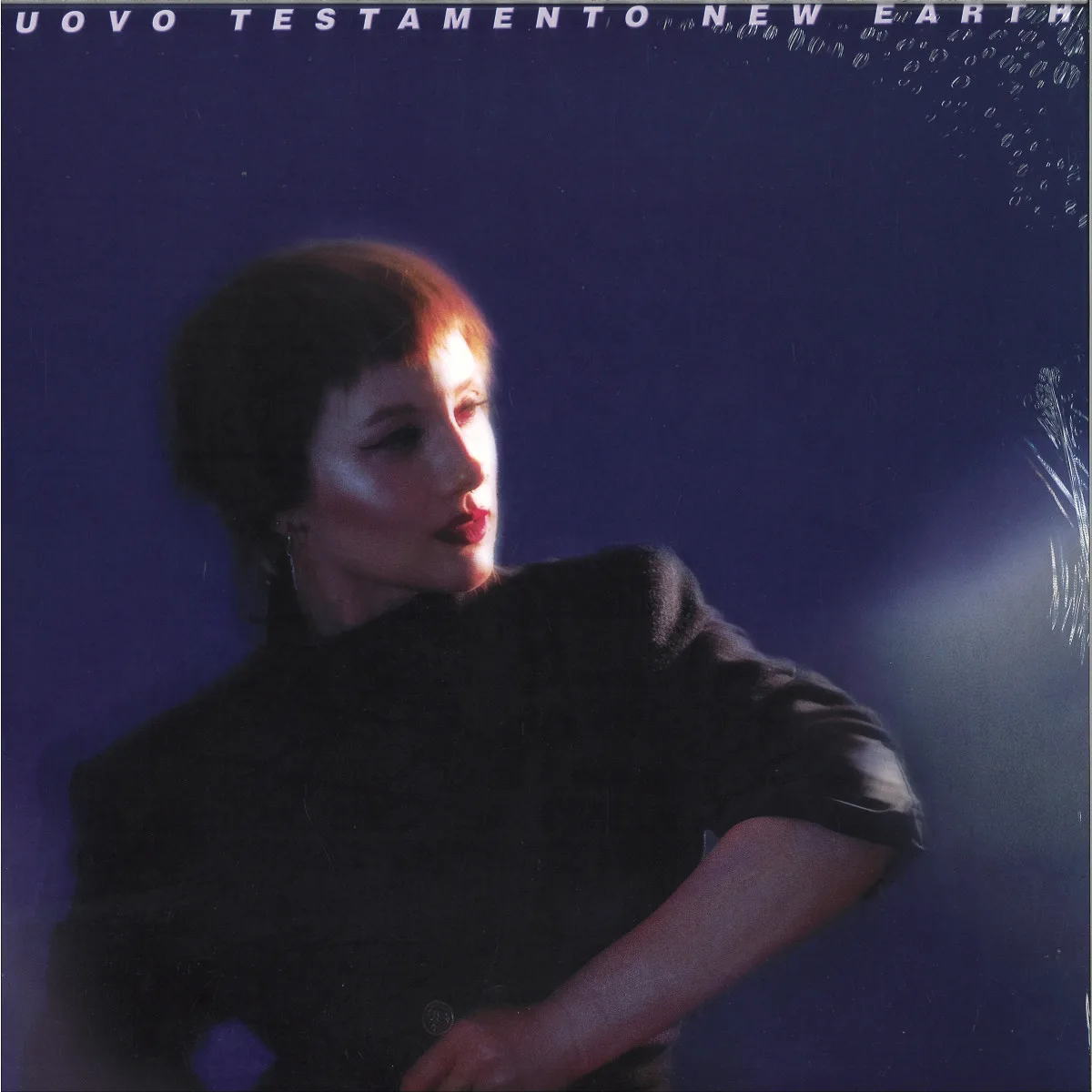 Nuovo Testamento — NEW EARTH LP