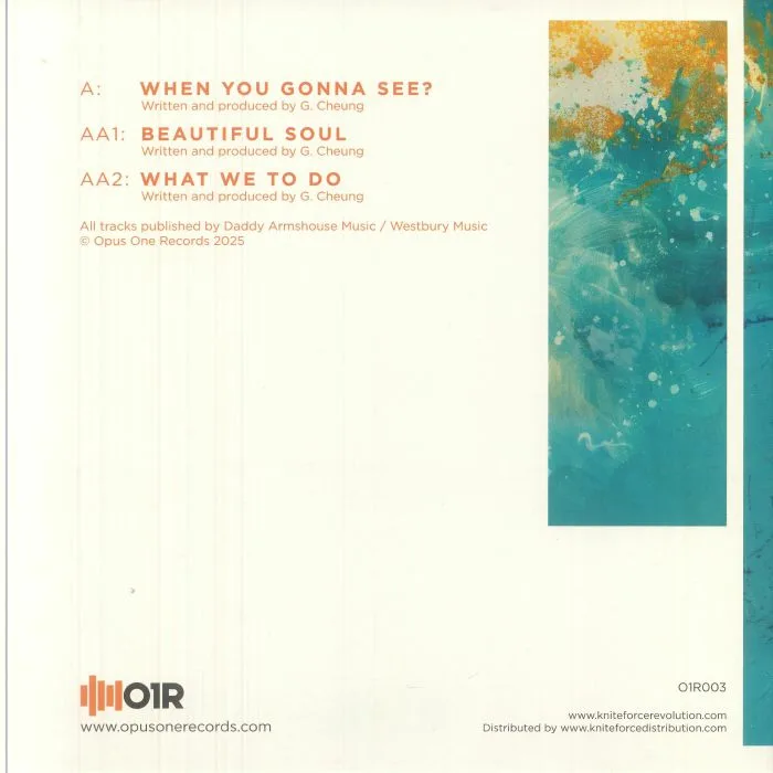 Back cover — NOOKIE — When You Gonna See?