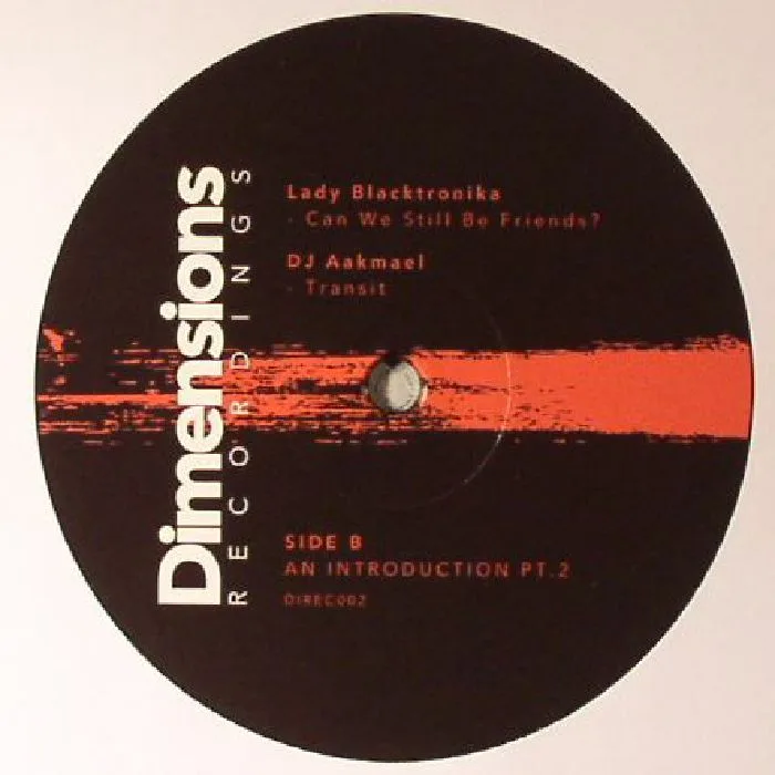 Back cover — Marcos CABRAL / BYRON THE AQUARIUS / LADY BLACKTRONIKA / DJ AAKMAEL — An Introduction Part 2