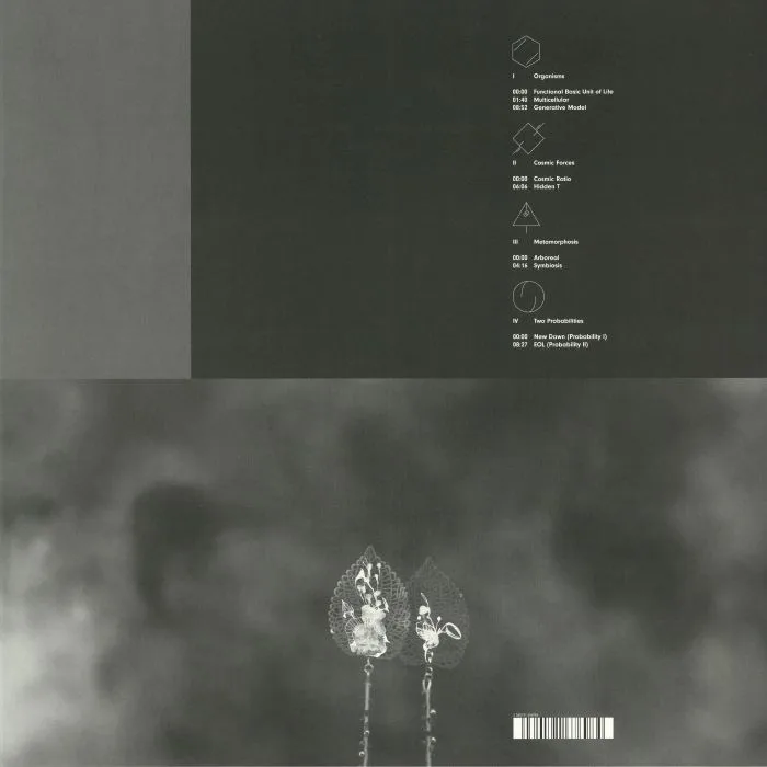 Back cover — Enrico SANGIULIANO — Biomorph
