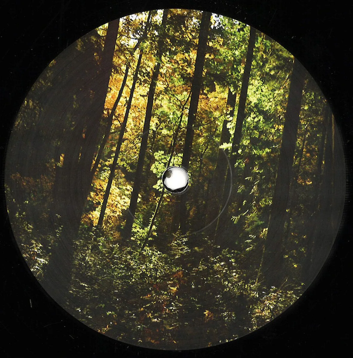 Jared Wilson — New Era