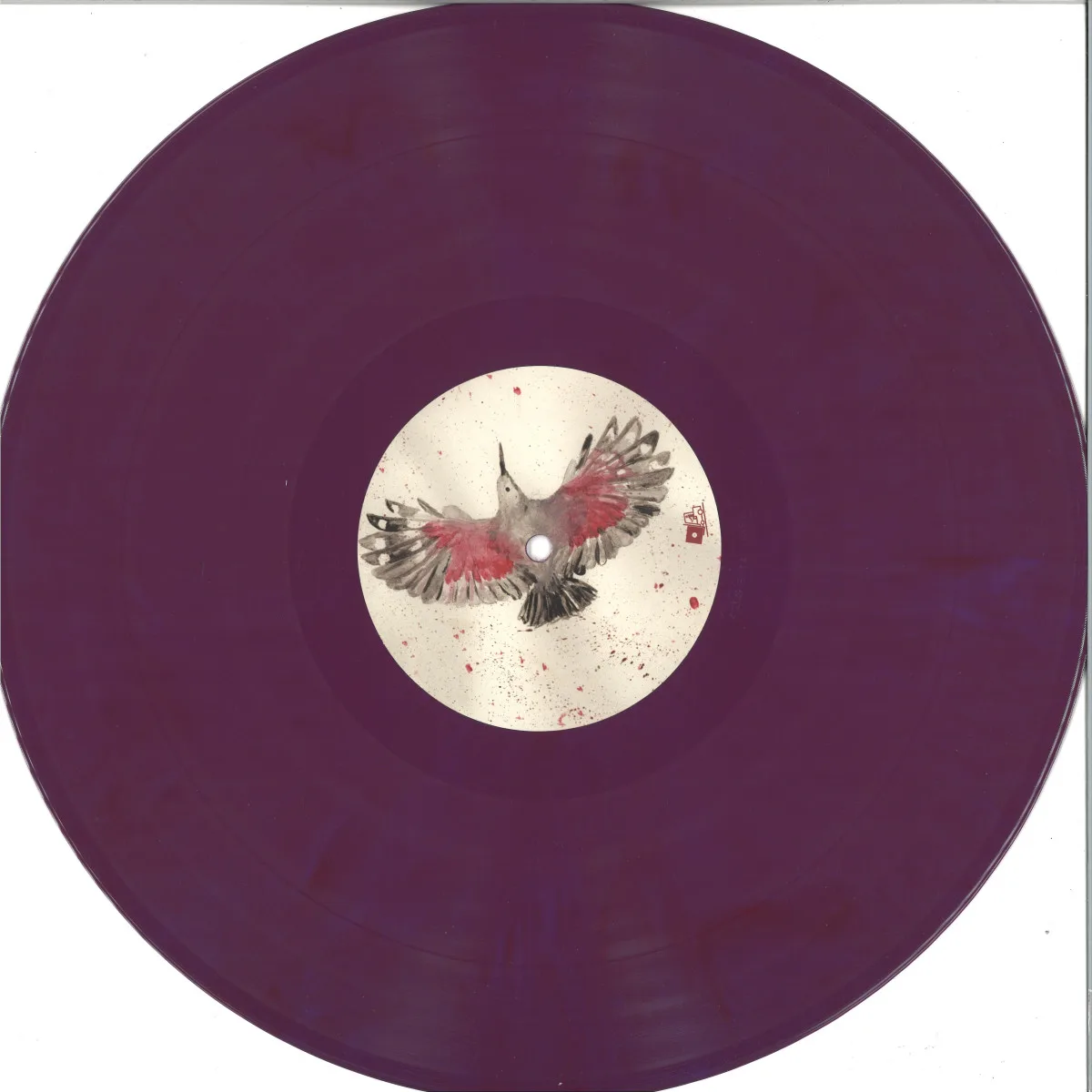 C.ysme,Dina Rocaille — Tichrodrome