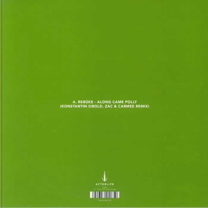 Back cover — REBUKE — Along Came Polly