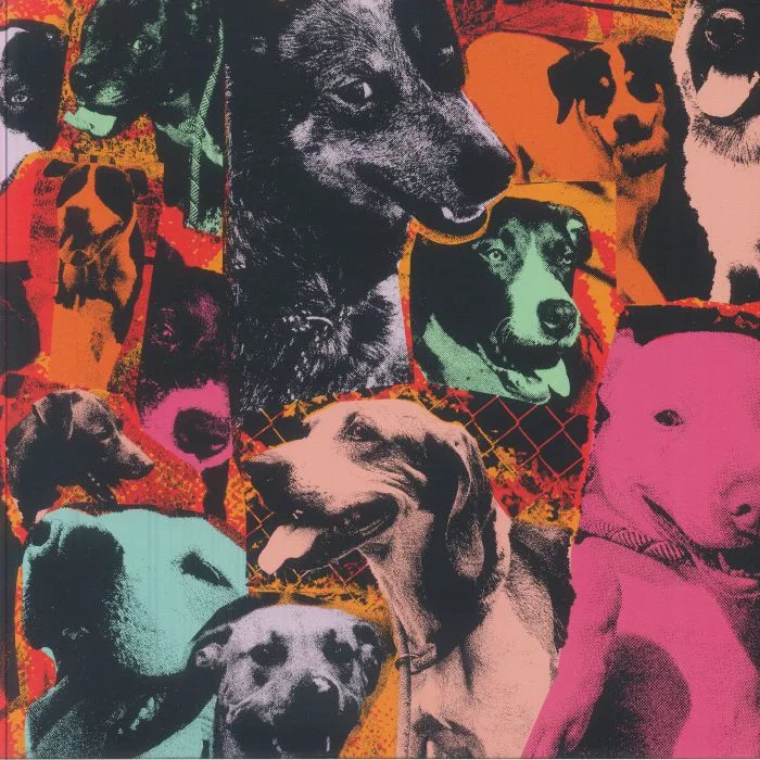 VARIOUS — The Dogs Of Hope