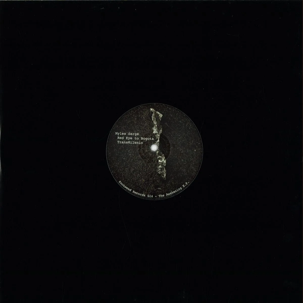 Обратная сторона обложки — Myles Sergé — The Awakening E.p.