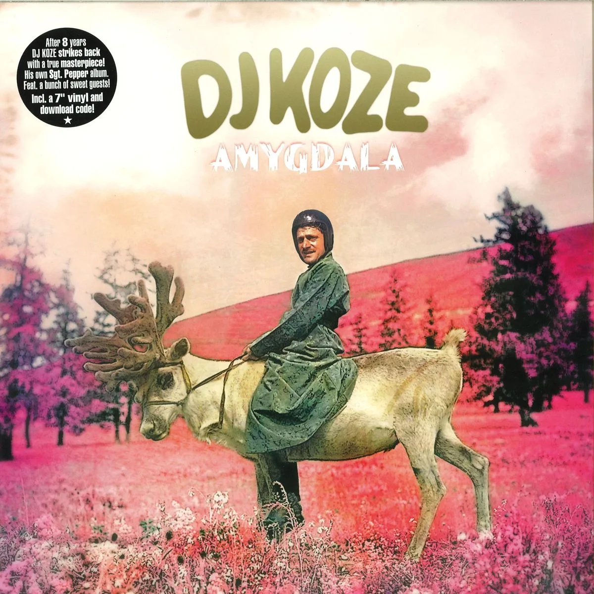 Лицевая сторона обложки — Dj Koze — Amygdala LP 2x12"+7''