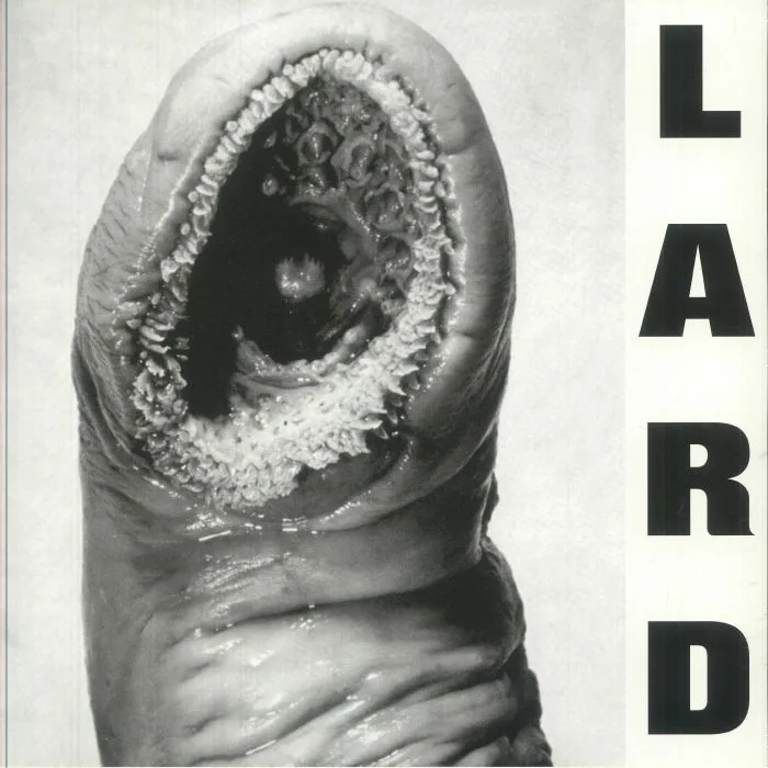 LARD — Power Of Lard EP