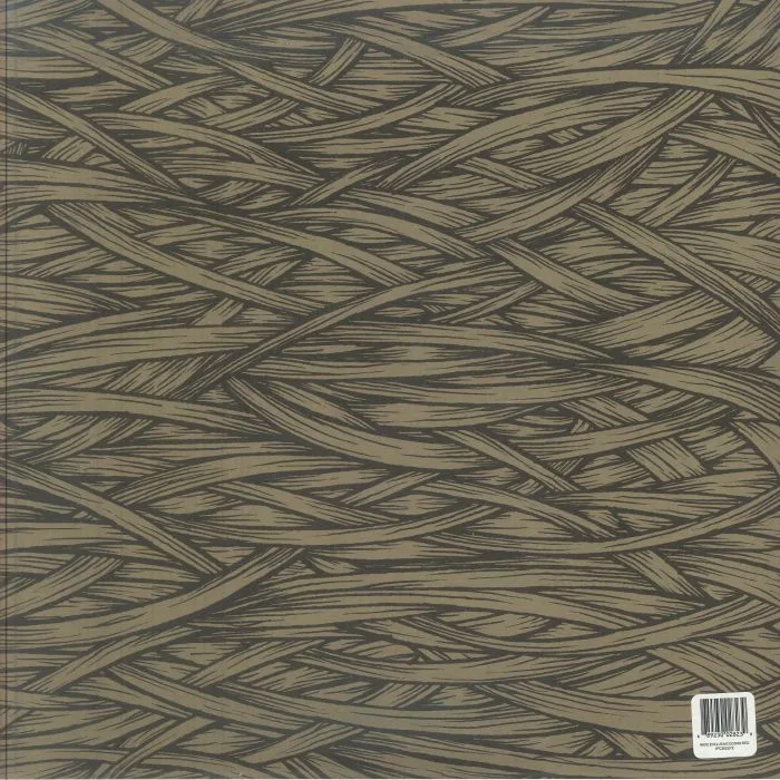 Back cover — ISIS — In The Absence Of Truth (reissue)