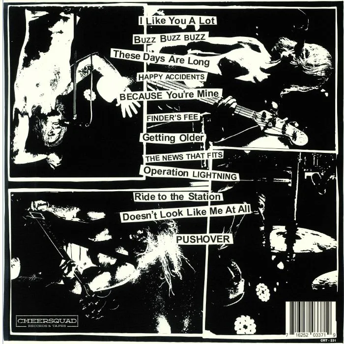 Back cover — The HARD ONS — I Like You A Lot Getting Older