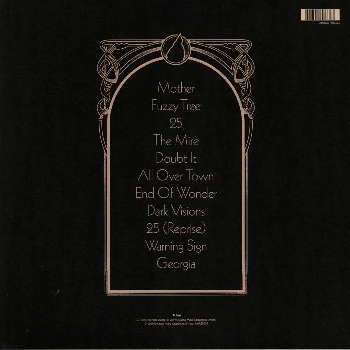 Back cover — The AMAZONS — Future Dust