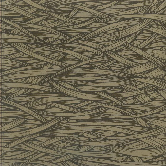 Обратная сторона обложки — ISIS — In The Absence Of Truth (reissue)