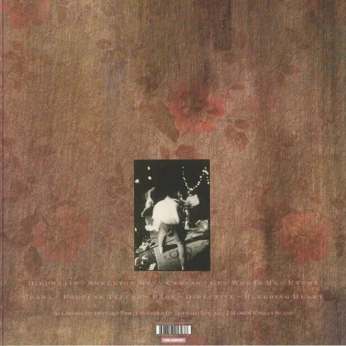 Обратная сторона обложки — BUFFALO TOM — Birdbrain (reissue)