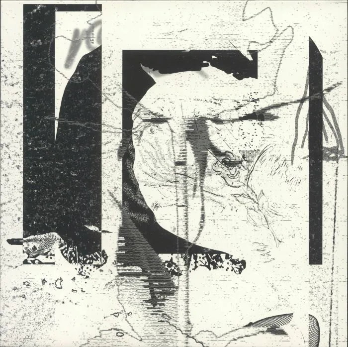 HUMAN FIGURES — Open Window