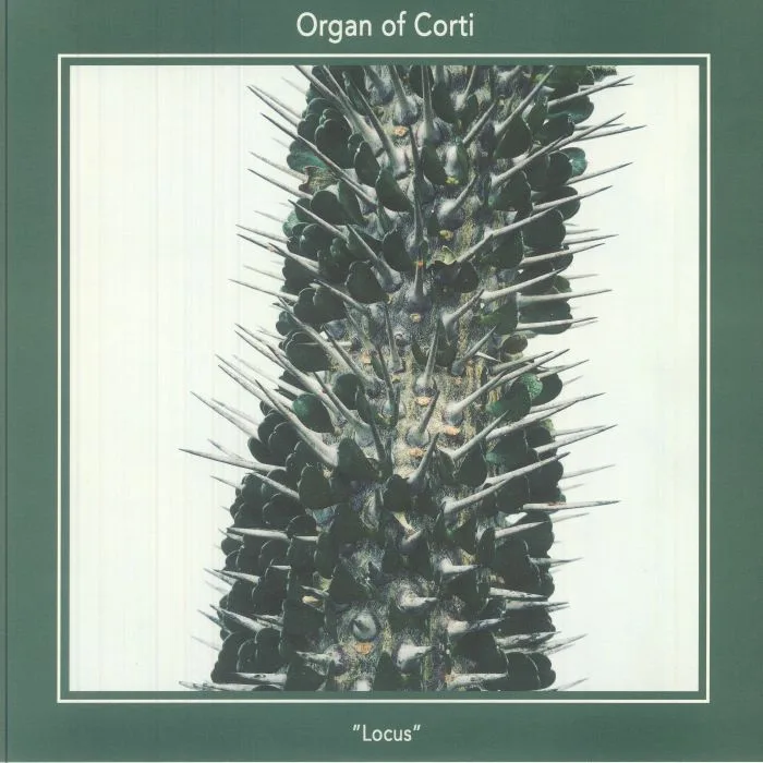 ORGAN OF CORTI — Locus