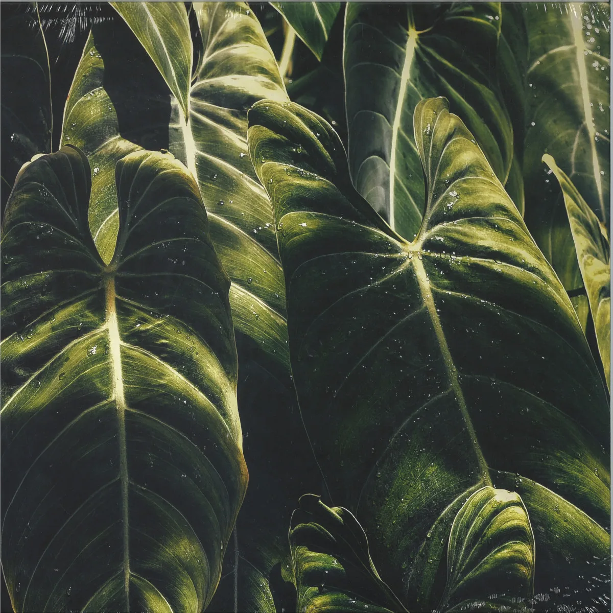 Front cover — Etro Hahn & Liro — Yagán EP