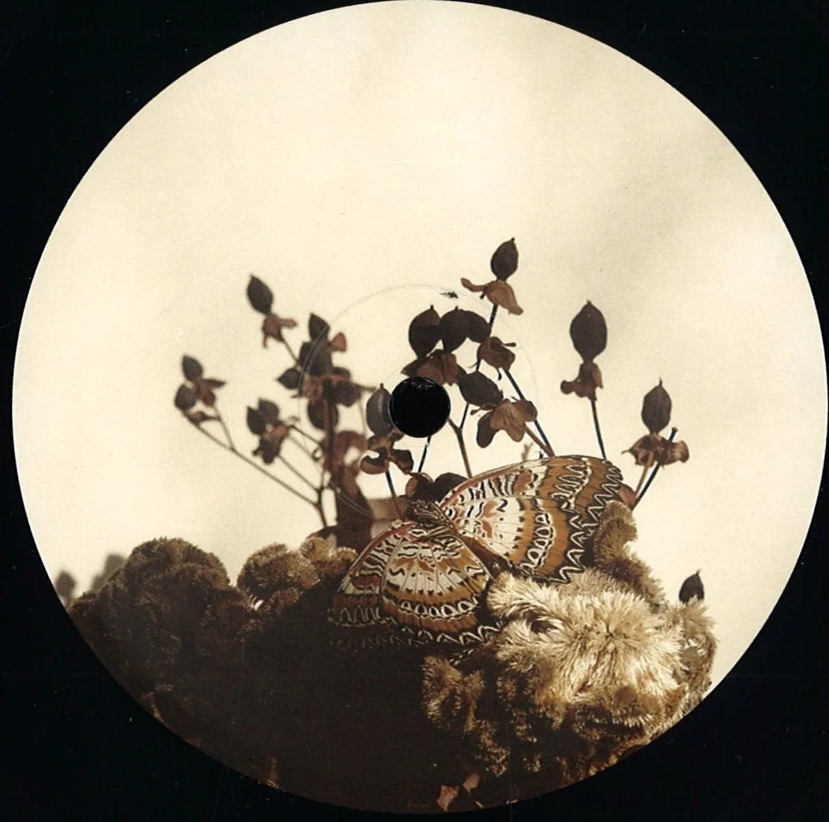 Ben Buitendijk — Transcended Being Ep
