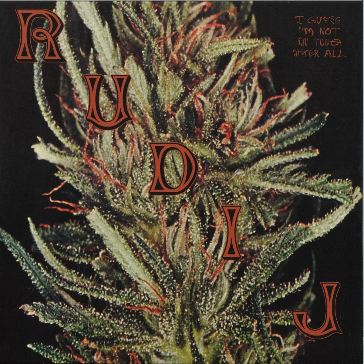 RUDI J — I GUESS I'M NOT IN TUNE AFTER ALL