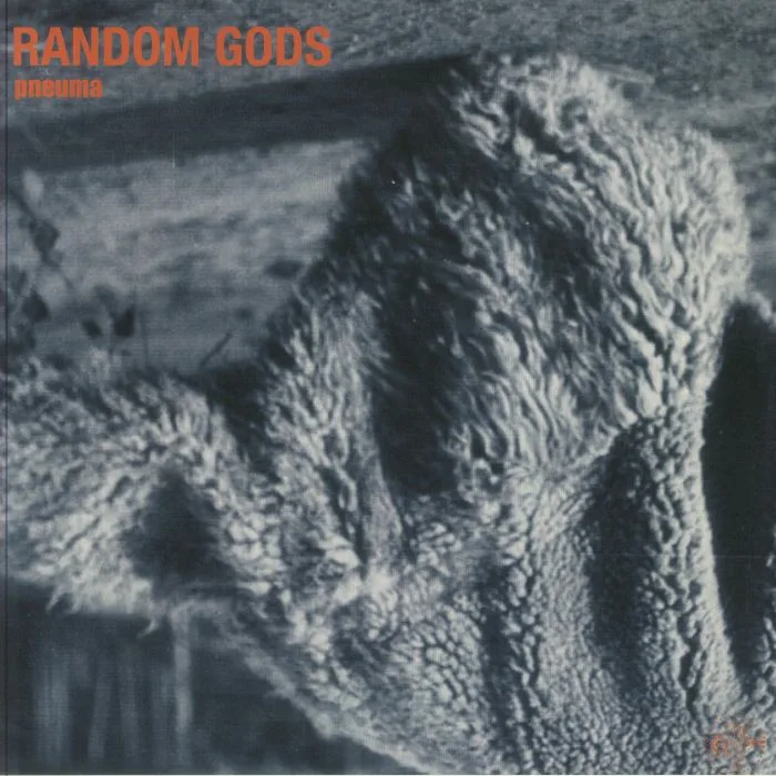 Back cover — RANDOM GODS — Pneuma