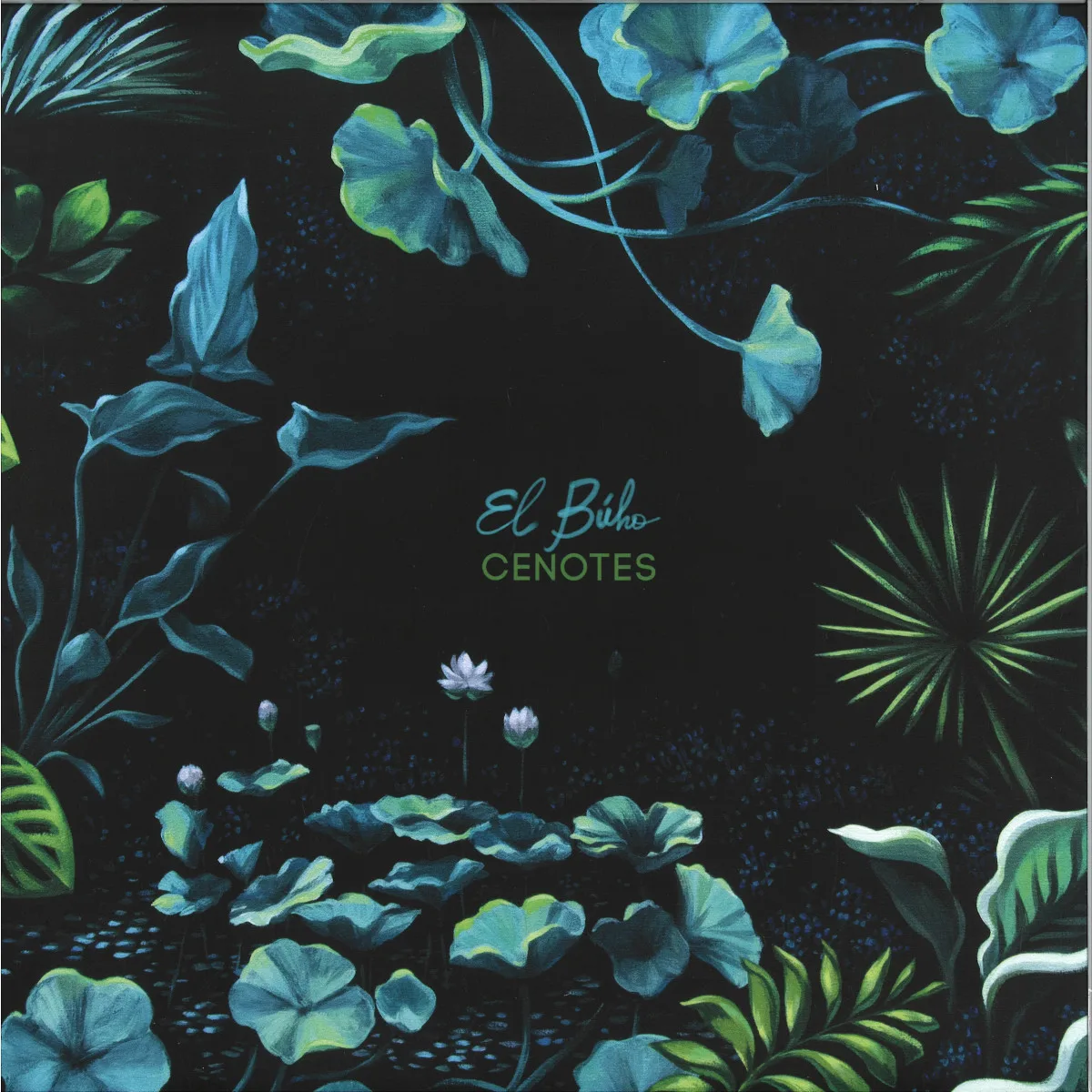 Обратная сторона обложки — Cenotes — El Búho EP