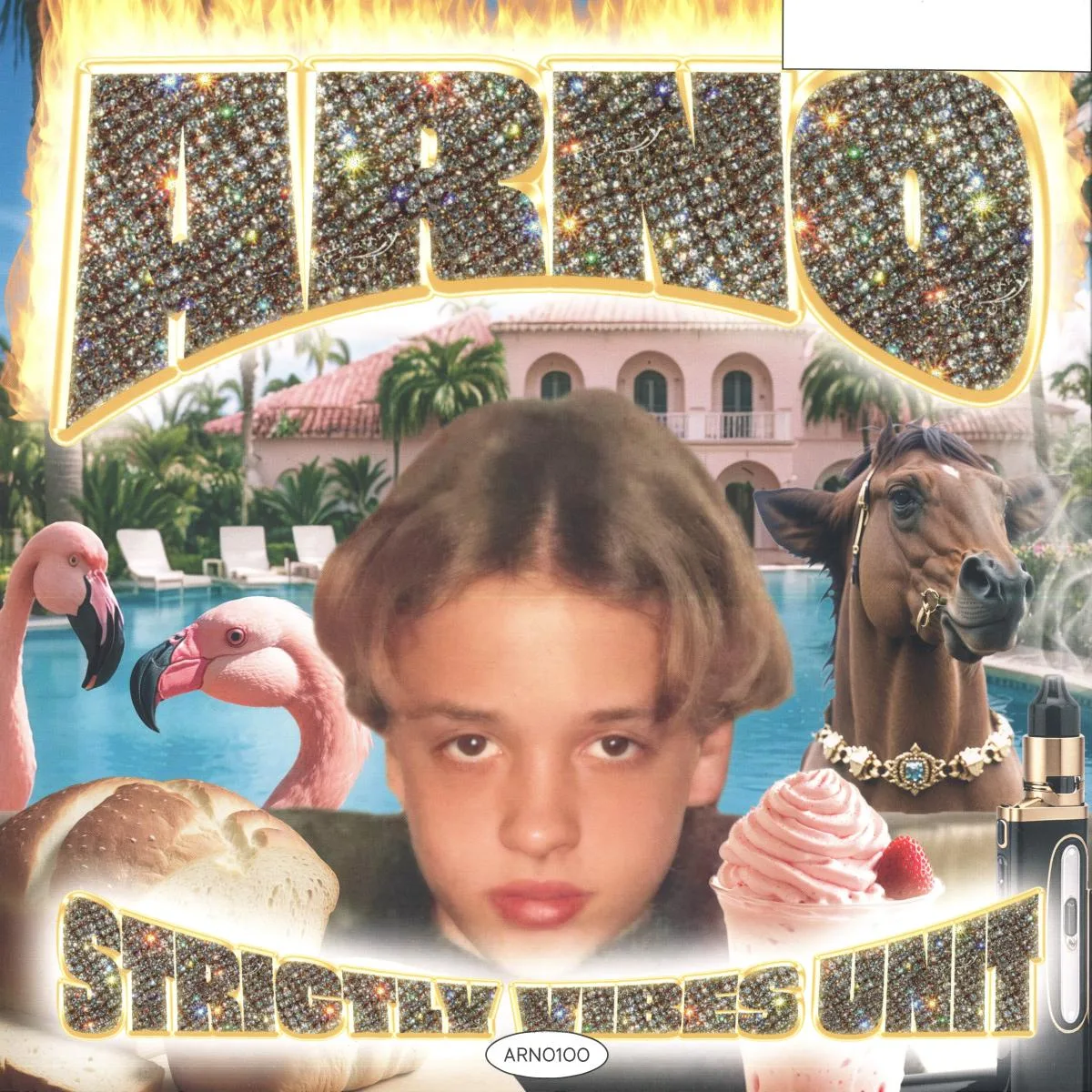 Arno — Strictly Vibes Unit 2x12"