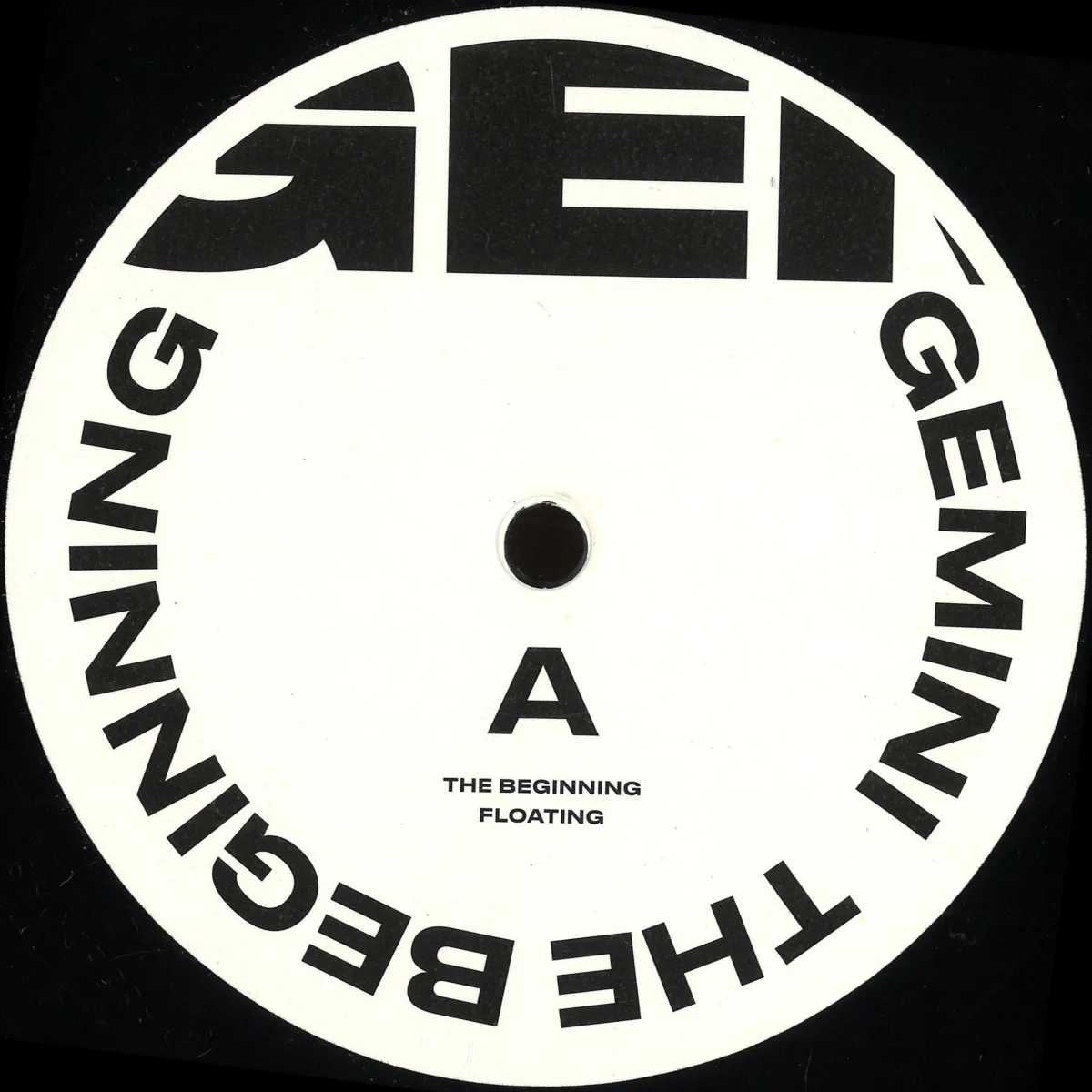 Gemini — The Beginning'
