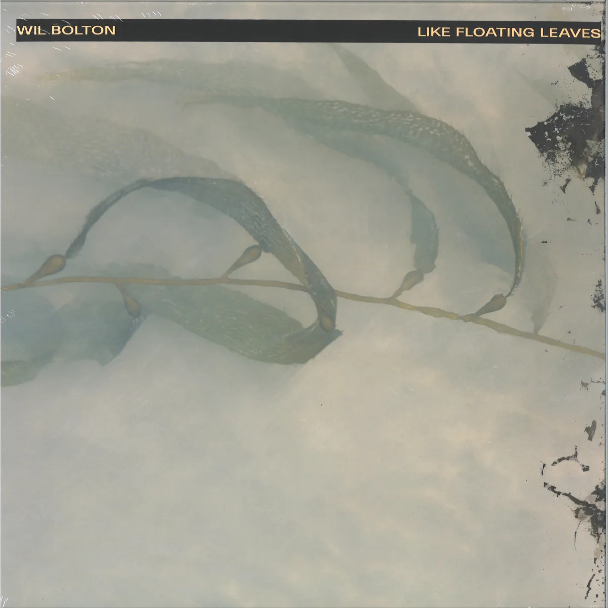 Wil Bolton — Like Floating Leaves LP