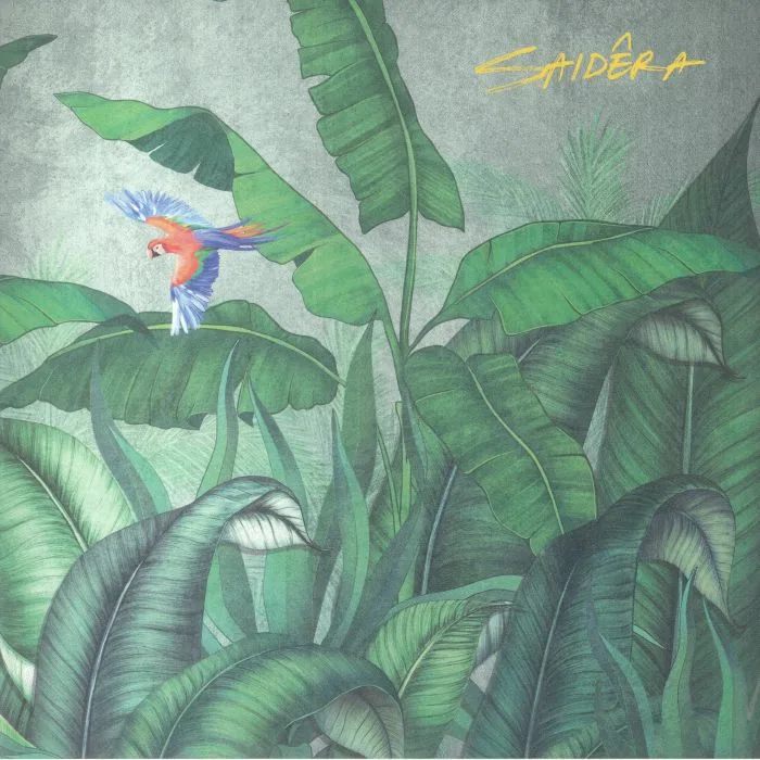 SAIDERA — Luzes Da Cidade