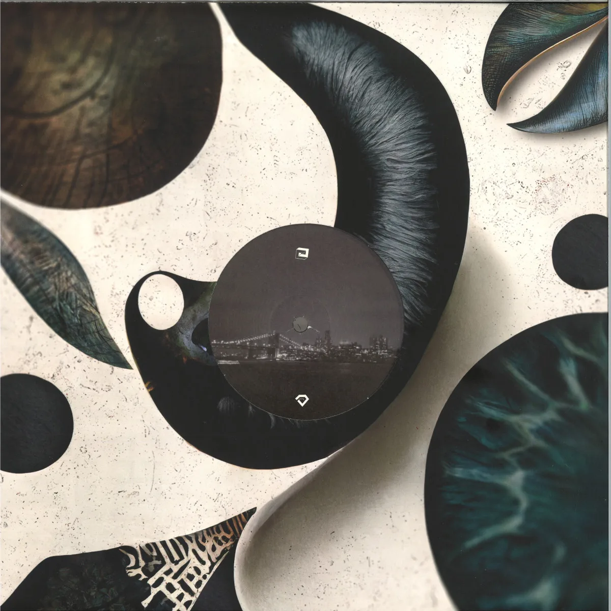 Back cover — Daniel Chavez — Seasons
