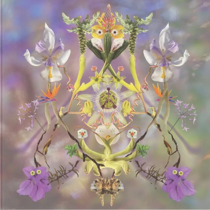 MAIBAUM — Sumer Is Icumen In