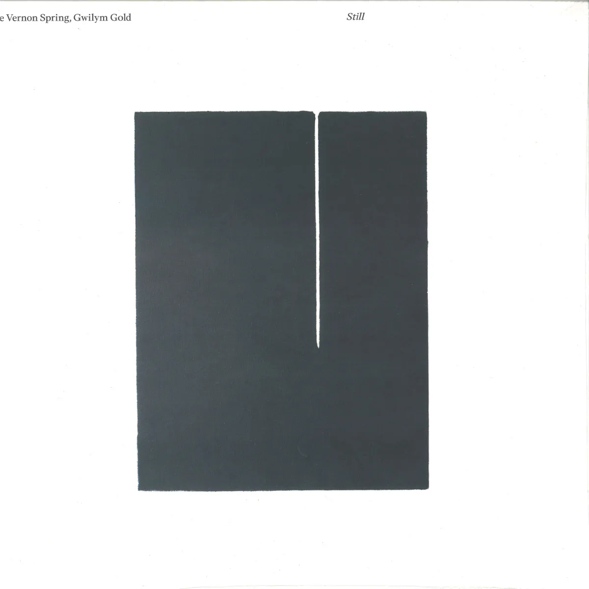 The Vernon Spring&Gwilym Gold — Still LP
