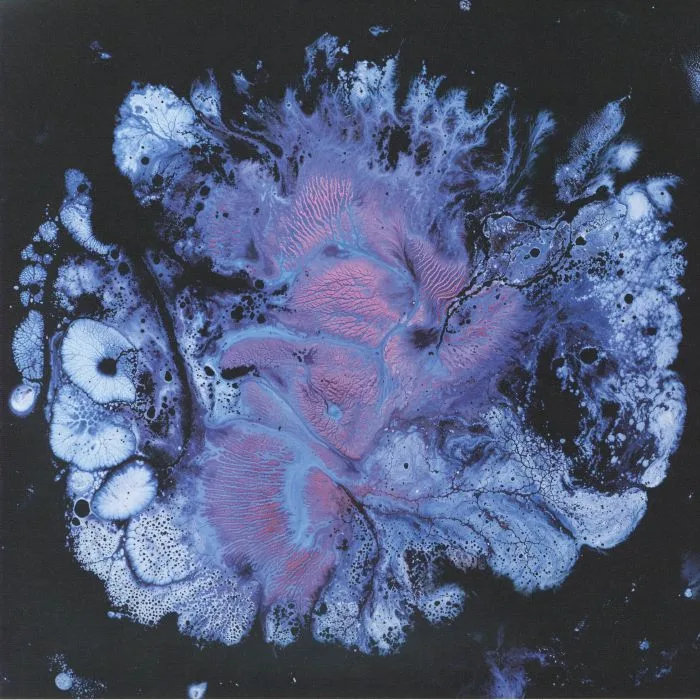 MA SHA — Hexacorallia