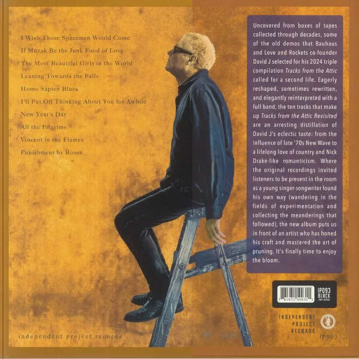 Back cover — DAVID J — Tracks From The Attic Revisited