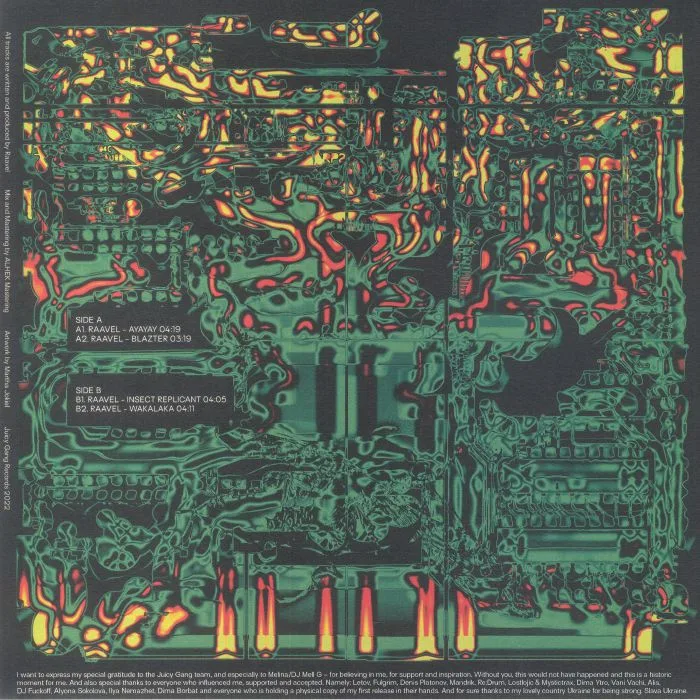Обратная сторона обложки — RAAVEL — Insect Replicant