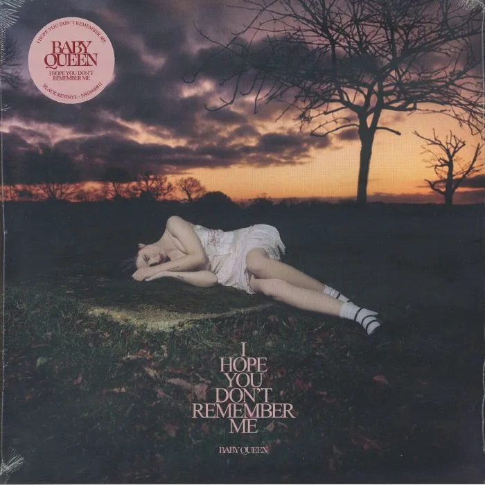 BABY QUEEN — I Hope You Don't Remember Me