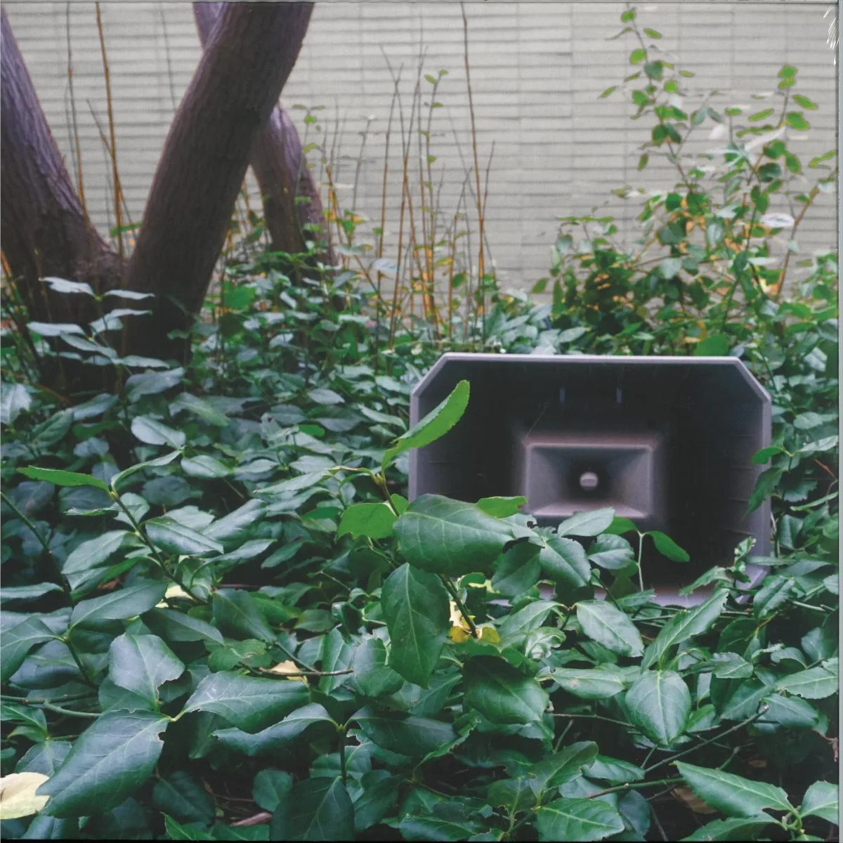 Jasmine Guffond — Muzak for the Encouragement of Unproductivity