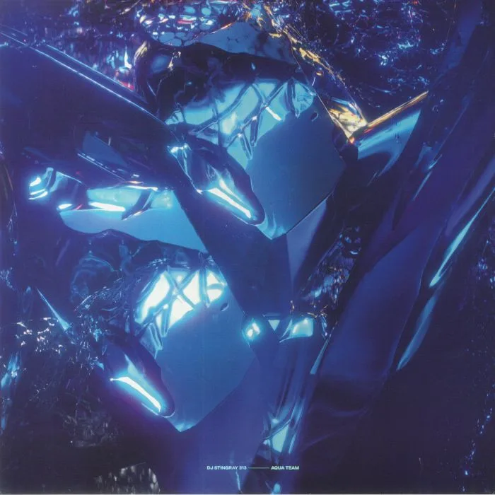 DJ STINGRAY 313 — Aqua Team (remastered)