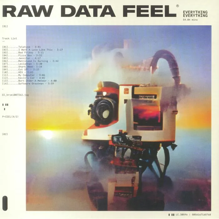 EVERYTHING EVERYTHING — Raw Data Feel