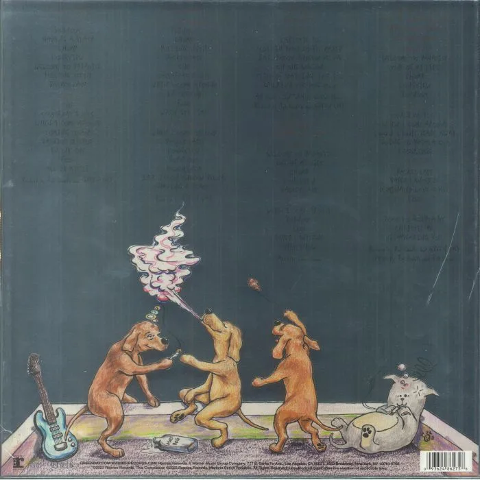 Back cover — GREEN DAY — Dookie (30th Anniversary Deluxe Edition)