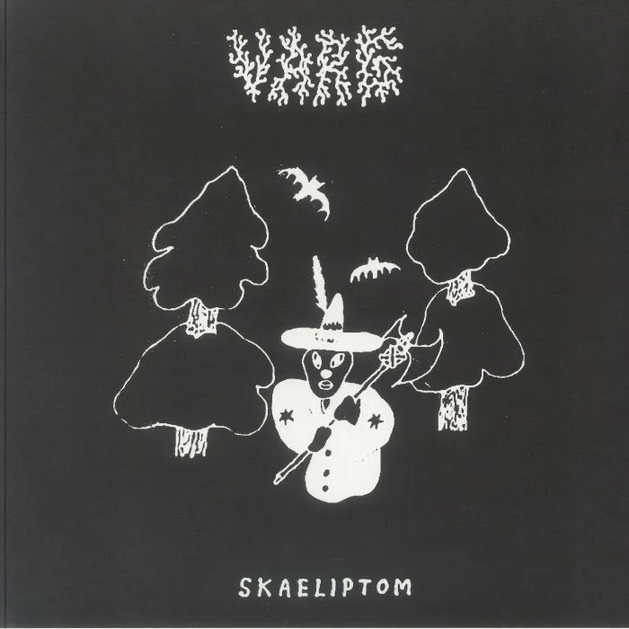Лицевая сторона обложки — VARG — Skaeliptom