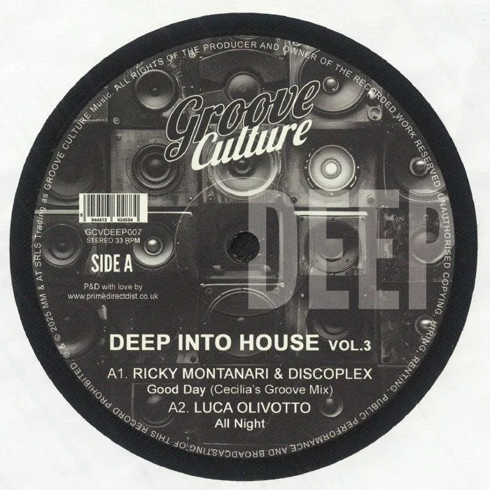 Лицевая сторона обложки — Ricky MONTANARI / DISCOPLEX / LUCA OLIVOTTO / MEMI P / GISELE JACKSON / ANDREA TOMEI — Deep Into House Vol 3