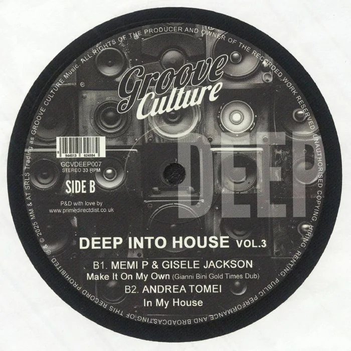 Обратная сторона обложки — Ricky MONTANARI / DISCOPLEX / LUCA OLIVOTTO / MEMI P / GISELE JACKSON / ANDREA TOMEI — Deep Into House Vol 3