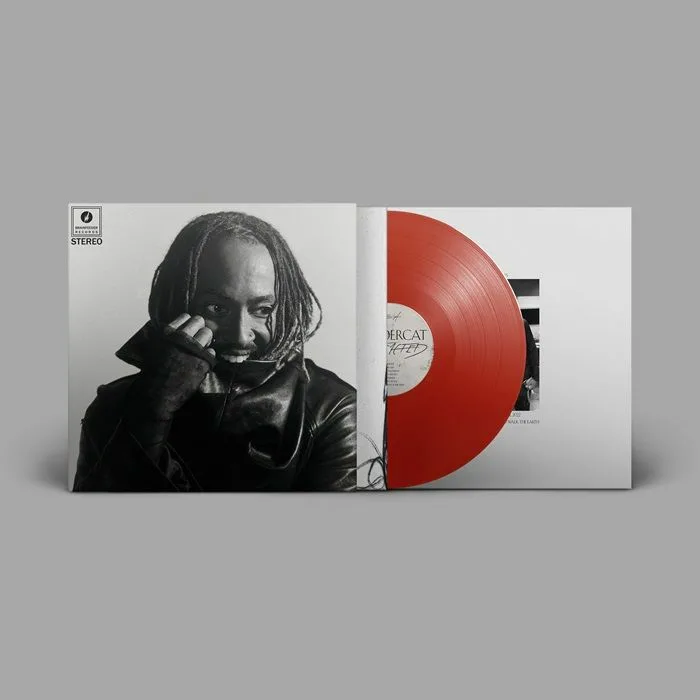 THUNDERCAT — Distracted