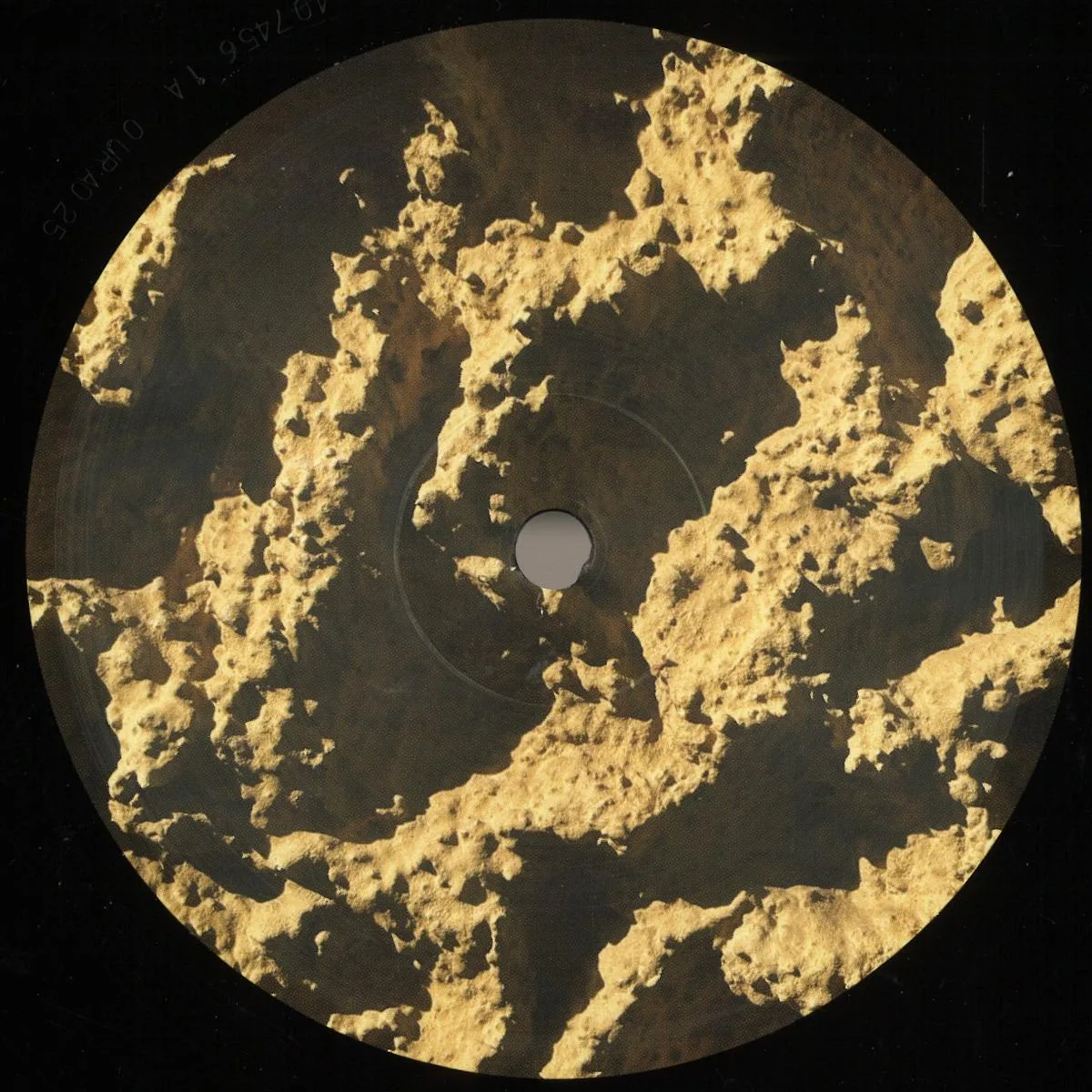 Franco Rossi — Phyllophaga