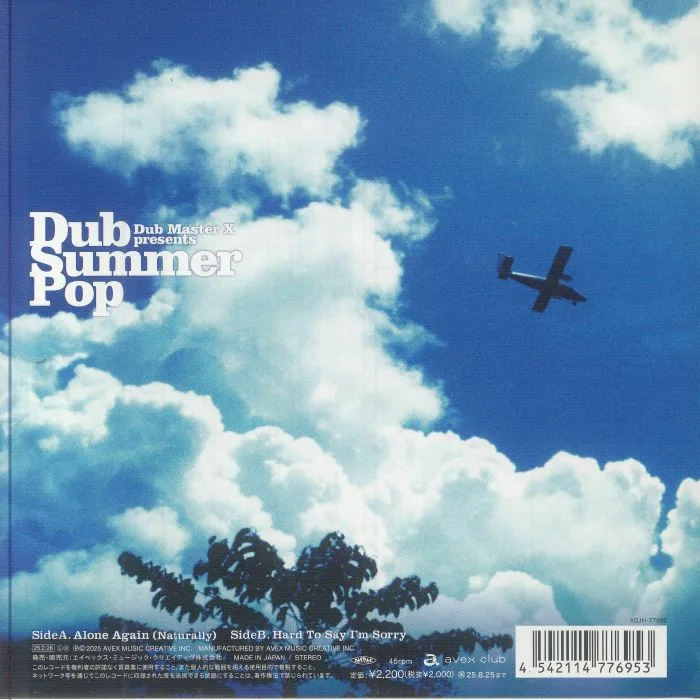 Back cover — DUB MASTER X — Alone Again