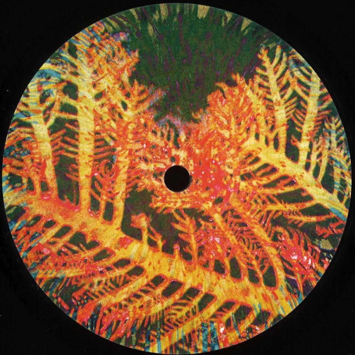 Nummer — Night Confidence