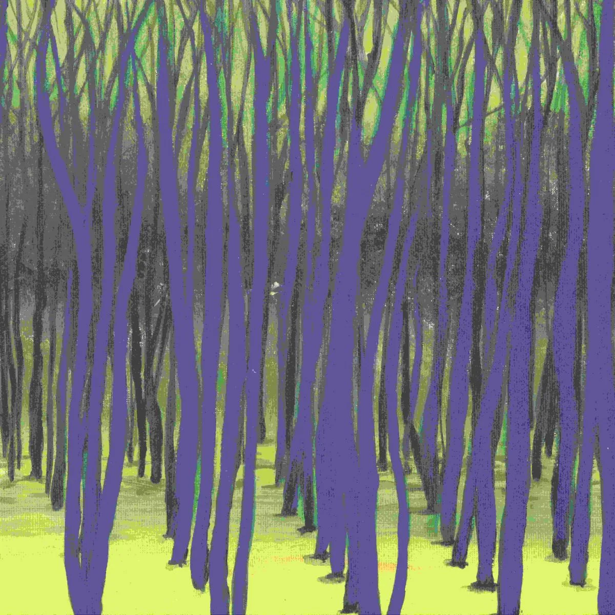 Лицевая сторона обложки — Tim Engelhardt — Rooted EP