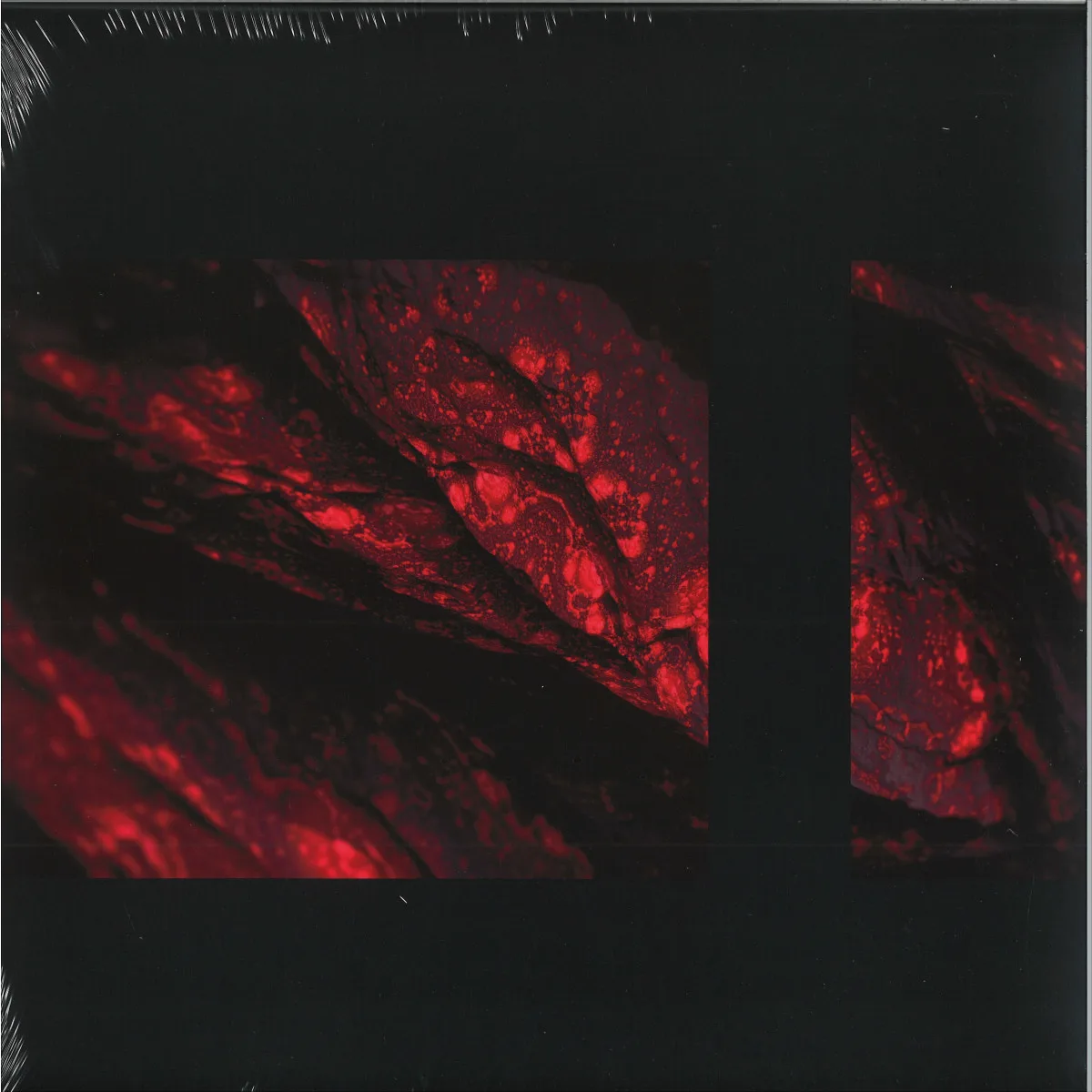 Some Science — Shapeshifters Ep