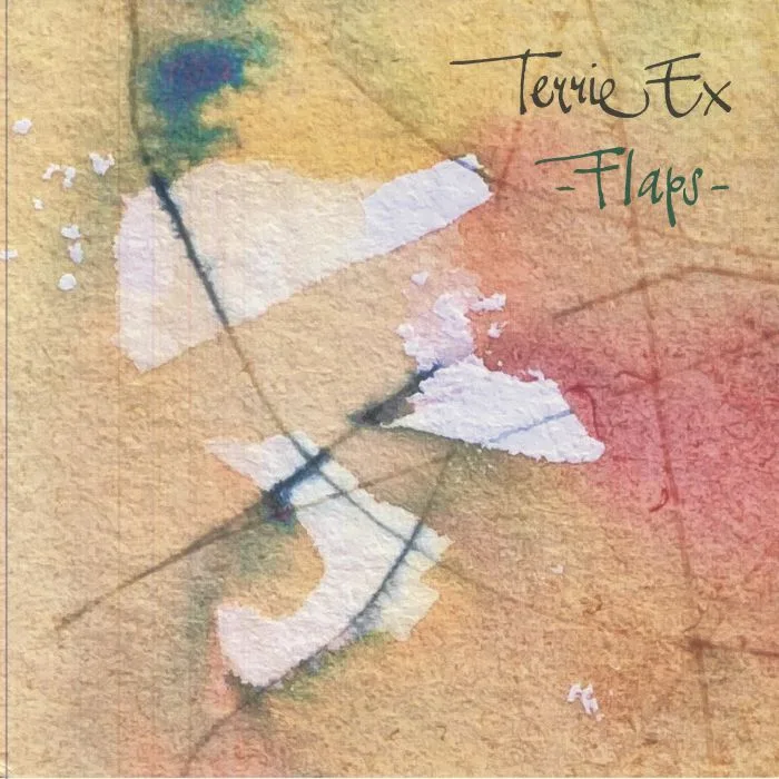 TERRIE EX — Flaps!