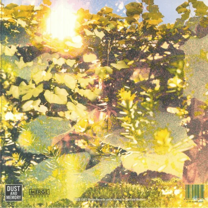 Back cover — The ESSEX GREEN — Everything Is Green (reissue)