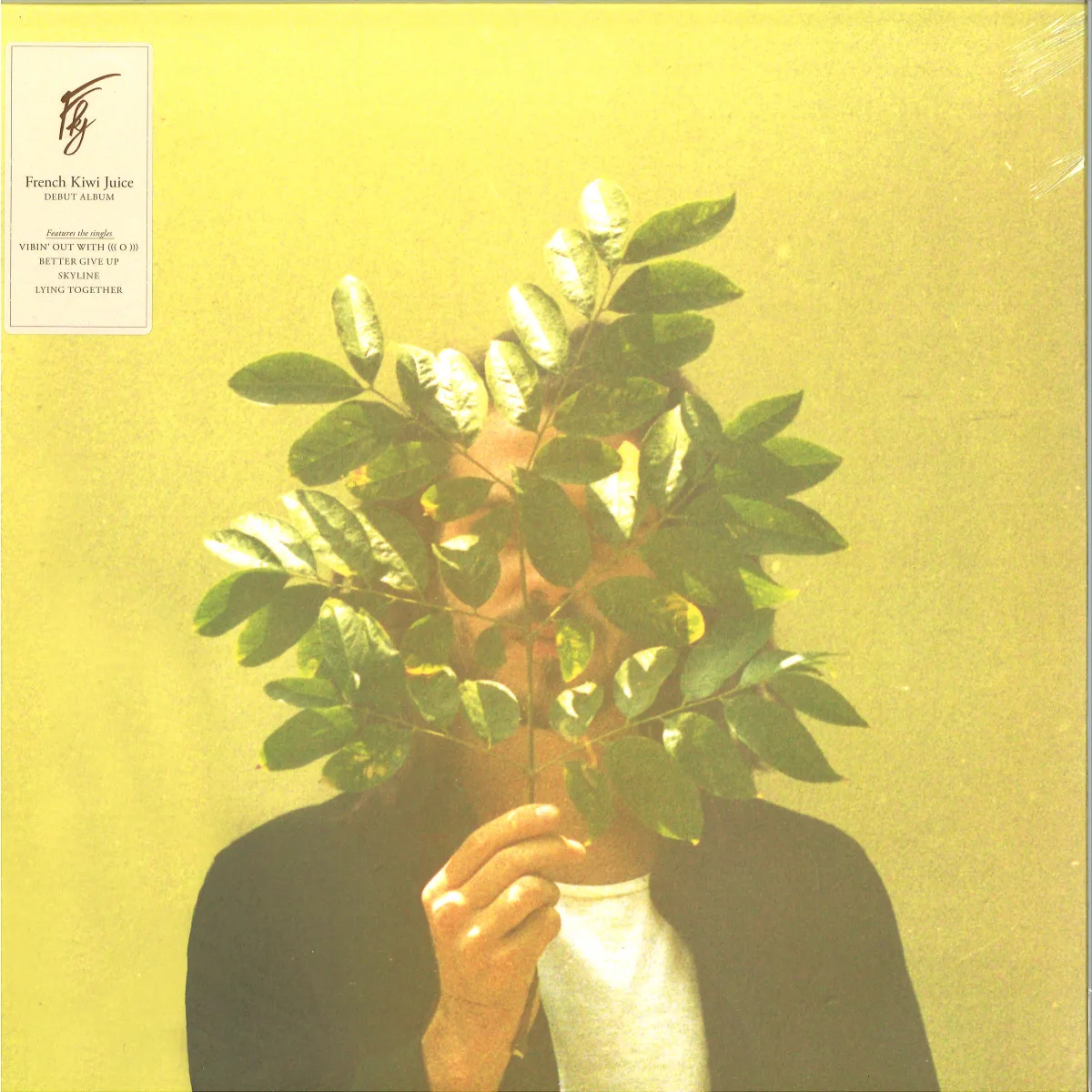 Front cover — Fkj — French Kiwi Juice LP 2x12"